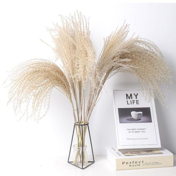 

decorative flowers & wreaths 15pcs real dried pampas grass decor marriage wedding flower natural plants phragmites ornamental home decoratio