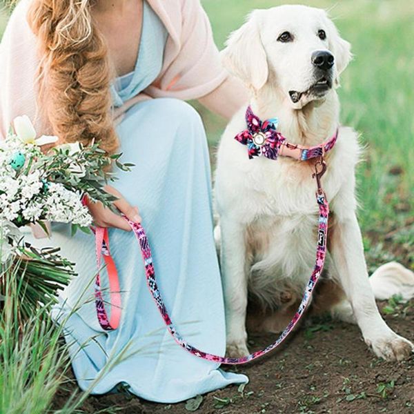 

dog collars & leashes nylon sturdy traction rope soft pet portable for sports