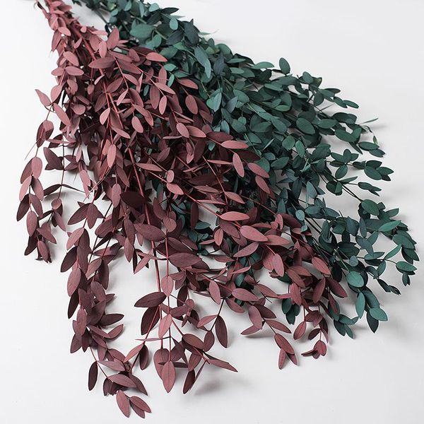 

50g dry flower eucalyptus branches leaves bouquet home decor diy artificial natural dried flowers plants wedding table deco decorative & wre