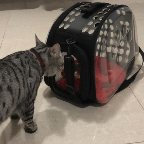

cat carriers,crates & houses transparent pet dog carrier bag travel portable breathable eva outside backpacks bags cats