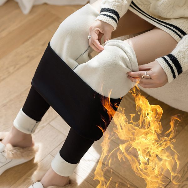 

legging chrysler women winter plus flowers stretch leggings high tail warm lam kashmir fat, Black