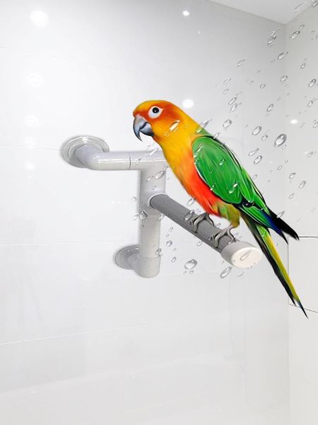 

other bird supplies parrot shower perch travel pet birds parrots bath standing platform bar grinding bracket station interesting perches