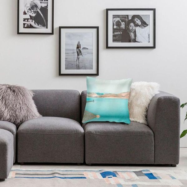 

divya-agrawal-nhsriwaz73m-unsplash pillow
