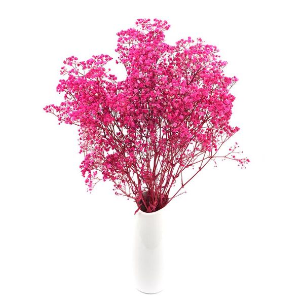 

decorative flowers & wreaths mini dried babysbreath bouquet natural plants preserve floral for wedding home decoration
