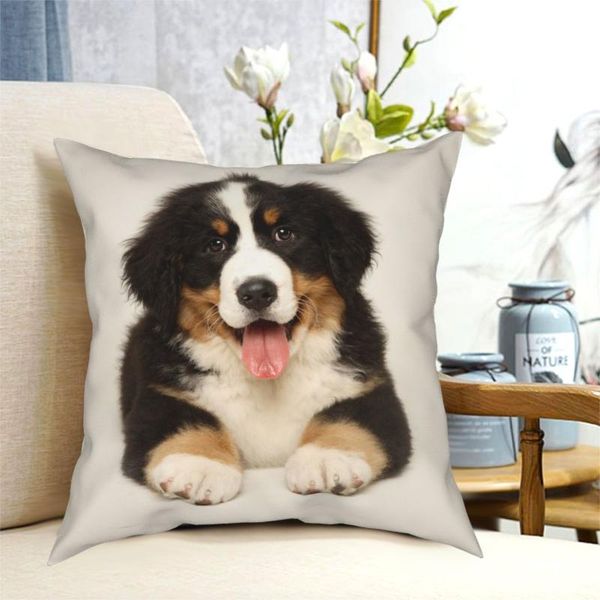 

cushion/decorative pillow boston the bernese mountain dog pillowcase soft polyester cushion cover decoration throw case home square 40*40cm