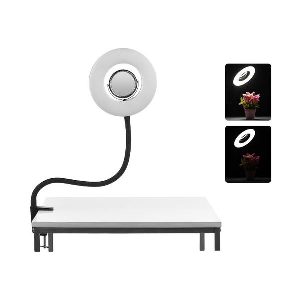 

compact mirrors table8inch 5500k led ring video light 24w dimmable fill with makeup mirror deskclip bendable pole for po live