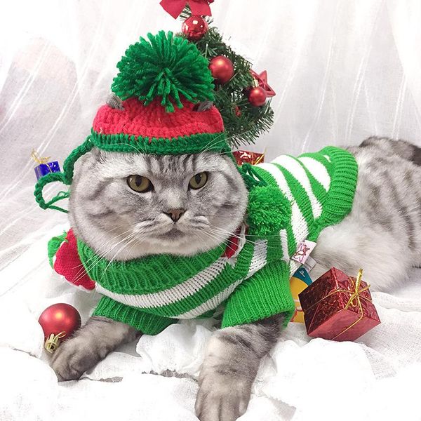 

cat costumes autumn and winter fashion stripe personalized warm sweater christmas ball pet clothing colorful