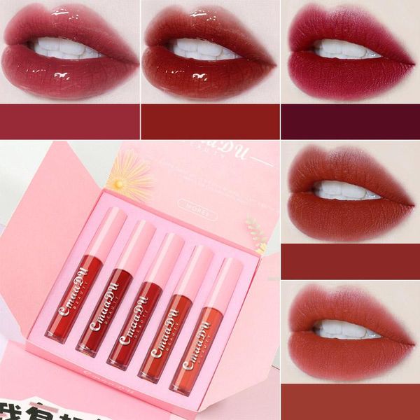 

lip gloss 5pcs/set moisturizing glaze matte mirror liquid lipstick longlasting set cosmetics for girls women