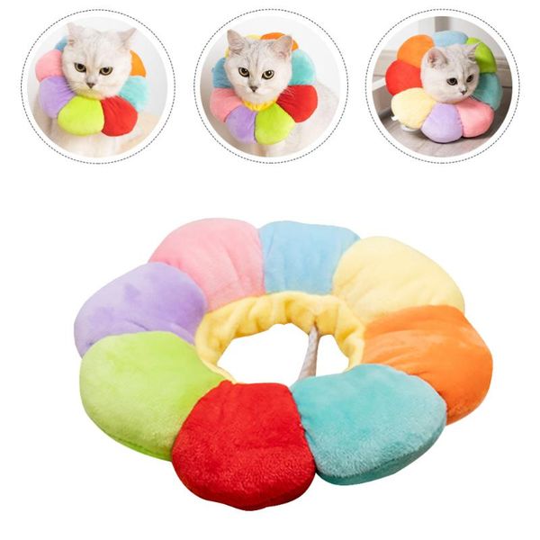 

cat collars & leads sunflower pet elizabethan collar premium recovery