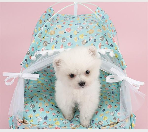 

cat beds & furniture pet bed for house cozy products accessories nest comfy calming small dogs chihuahua tent hammock