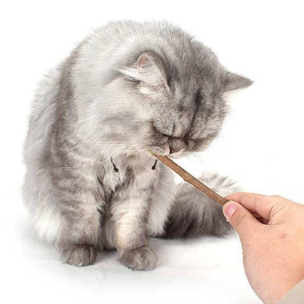 

10x cat chew catnip stick toy safety teeth molar toothpaste branch cleaning sticks pet supplies toys