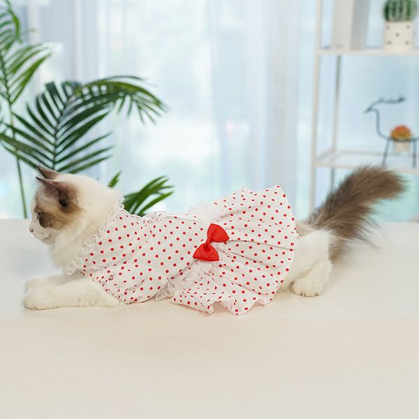 

autumn and winter dog cloth lace cat teddy small princs skirt pet