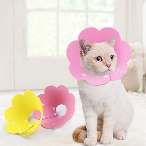 

sunflower shaped pet cute cat anti-bite protective collar elizabeth dog circle kitten recovery collars neck ring lick supplies & leads