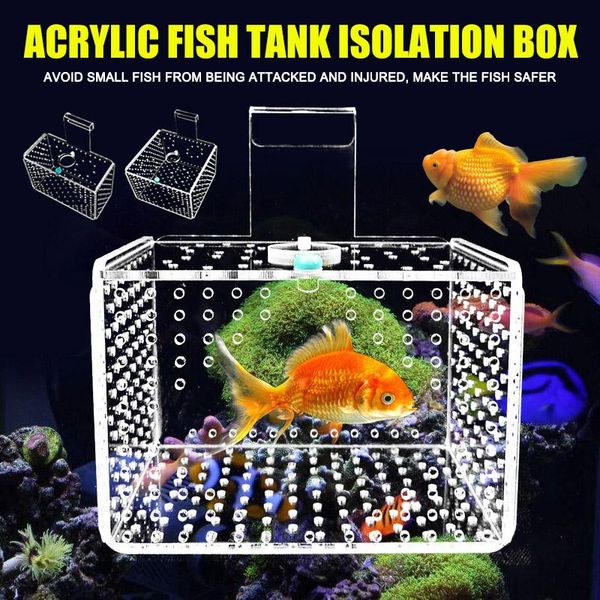 

arcylic aquarium fish tank isolation box breeding separation incubating young gr5 aquariums