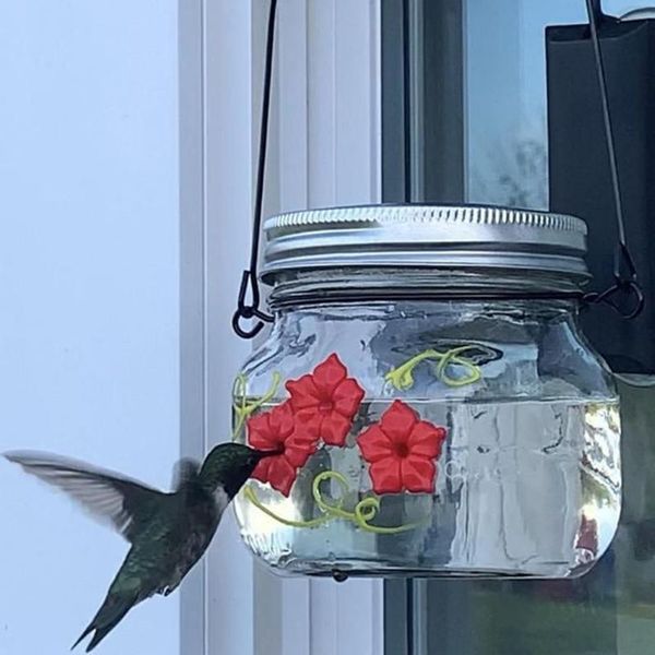 

other bird supplies beautiful hummingbird feeder mason jar with ports flower hanging outdoor garden corridor balcony decor pet