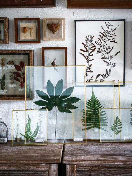 

frames seed creative plant specimen decorative painting light luxury dried flower eternal nordic living room combination hanging