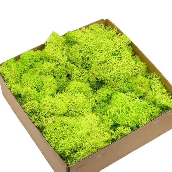 

decorative flowers & wreaths 200g/box artificial plant immortal moss / garden home decoration wall diy flower material mini micro landscape