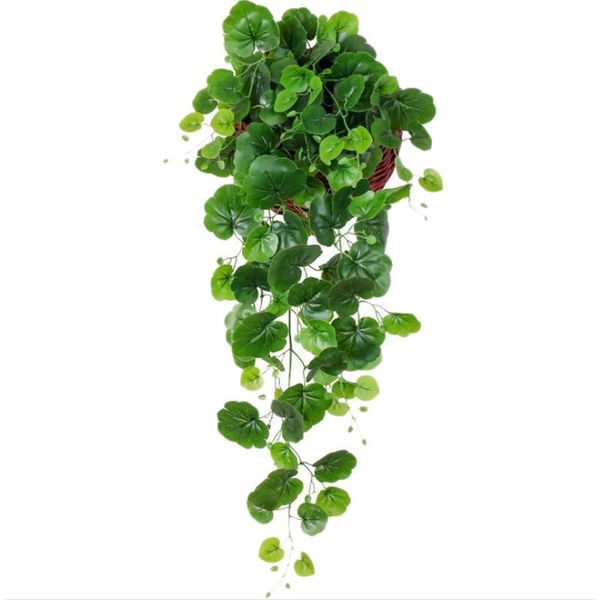 

decorative flowers & wreaths wall hanging flower simulation green dill living room plant decoration fake rattan