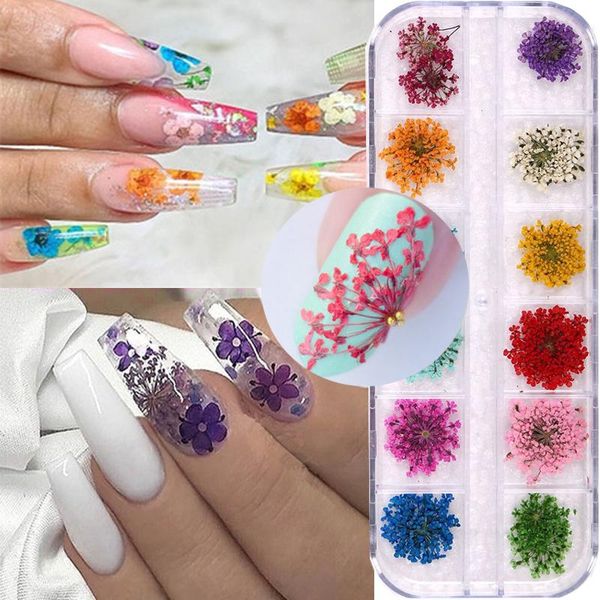 

patterns 3d dry flowers nail stickers diy natural art decoration tips manicure tools with box decorations, Silver;gold