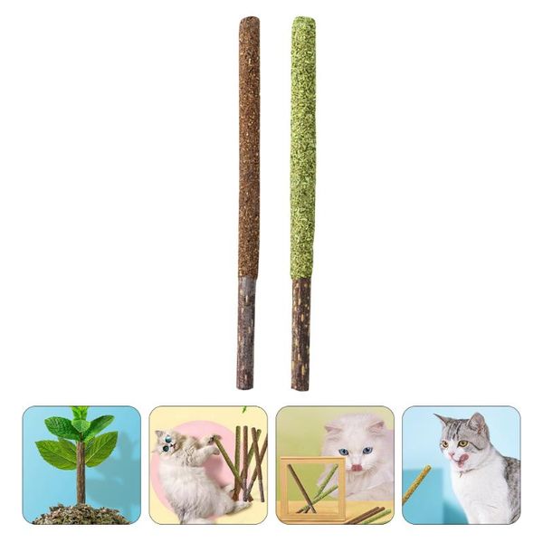 

cat toys 2pcs licking sticks catnip insect gall fruit