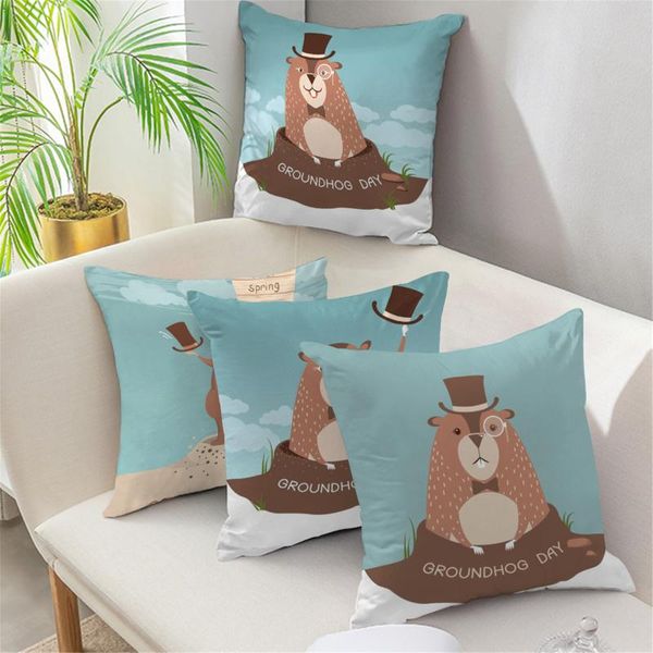 

cushion/decorative pillow cute groundhog cushion cover friend tv show soft throw case decorative pillows urban outfitters sofa bed pillowcas
