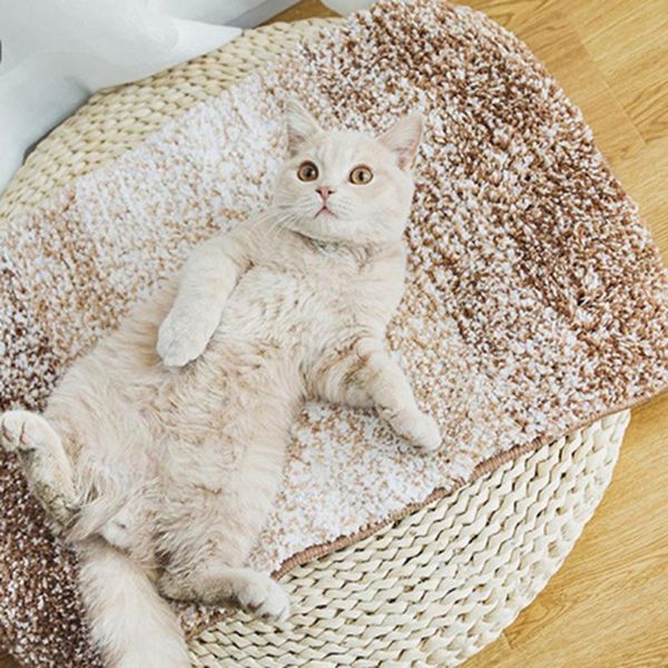 

cat beds & furniture anti-skid mat litter comfort pet sleeping bed coffee/gray/green/red