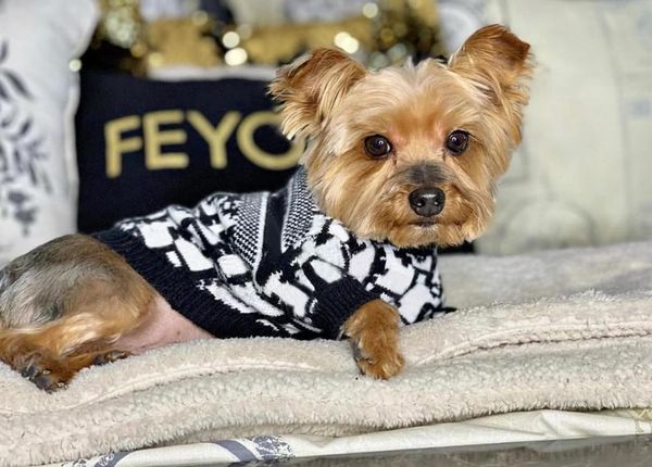 

dog apparel pet sweater winter warm fashion cat clothes cw639