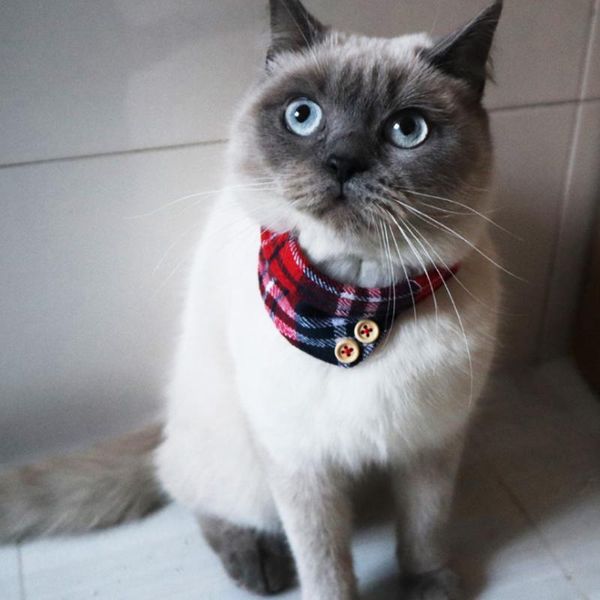 

british style lovely burp cloth triangular binder neckerchief collar and leash for pet cats dog collars & leashes