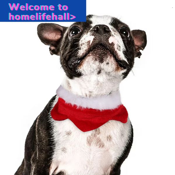 

hooded clothing suppliest clothes lace scarf dog christmas eve cat collar