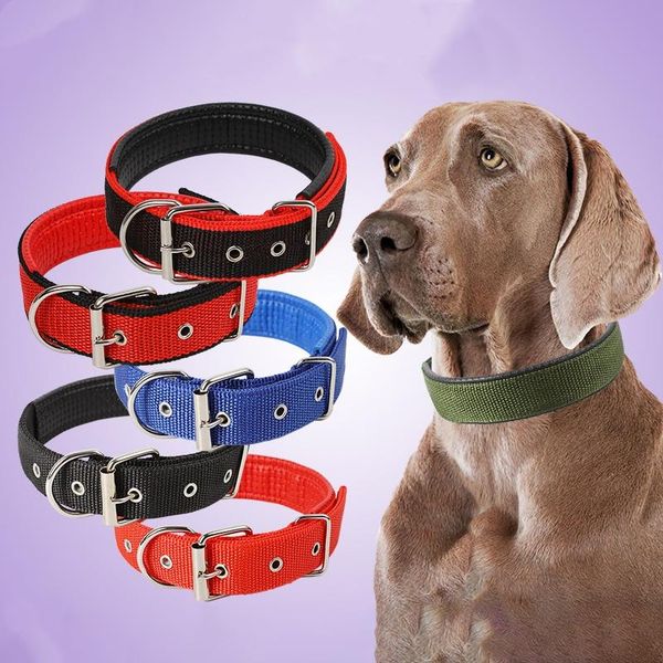 

@he black adjustable soft polypropylene safety pp foam material pet dog daily training walking collar collars & leashes