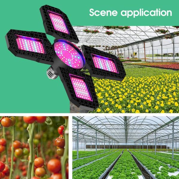 

grow lights full spectrum phytolamps ac85-265v e27 4 adjustable lamp holders 100w 120w 45w 150w deskclip phyto lamps for plants flowers