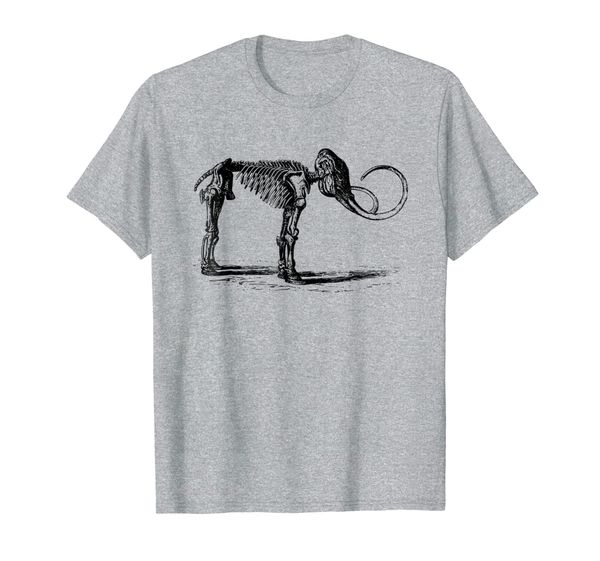 

Mammoth skeleton Paleontologists bones extinct fossil, Mainly pictures