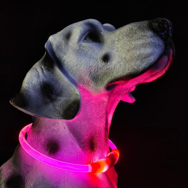 

cat collars & leads led harness for dogs dog collar with light cc simon