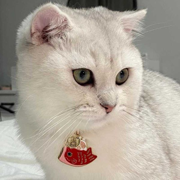 

cat costumes hicodo pet collar adjustable animal accessories year style bell lucky bag dog necklace with pendant for puppy kitten