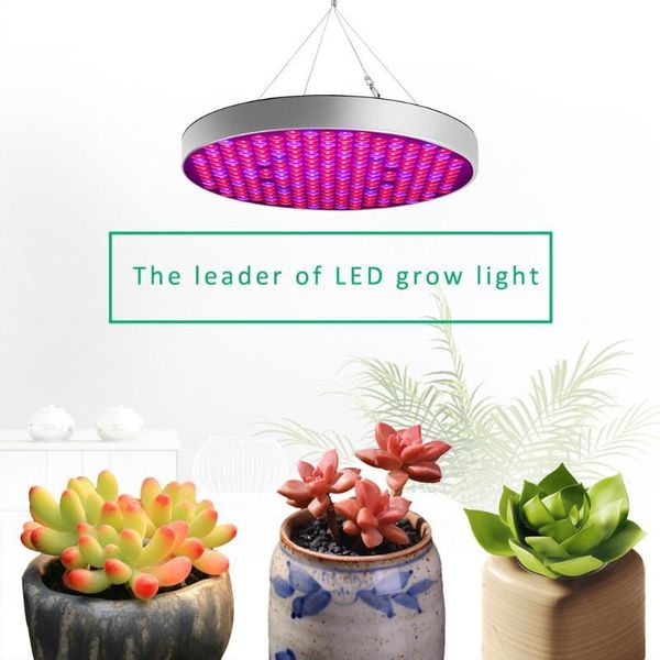 

grow light indoor plants growing lamp for seedling cultivation lights