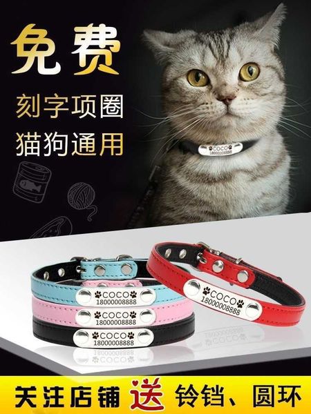 

cat lettering dog tag lost proof id cat tag bell collar teddy small dog