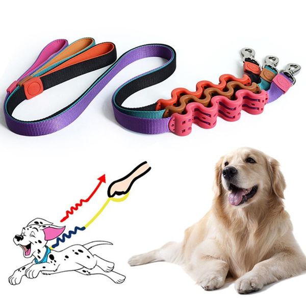 

pet harness leash for dog puppy lead elastic buffer rope to prevent riots outdoor safe walking supplies with grip handle collars & leashes