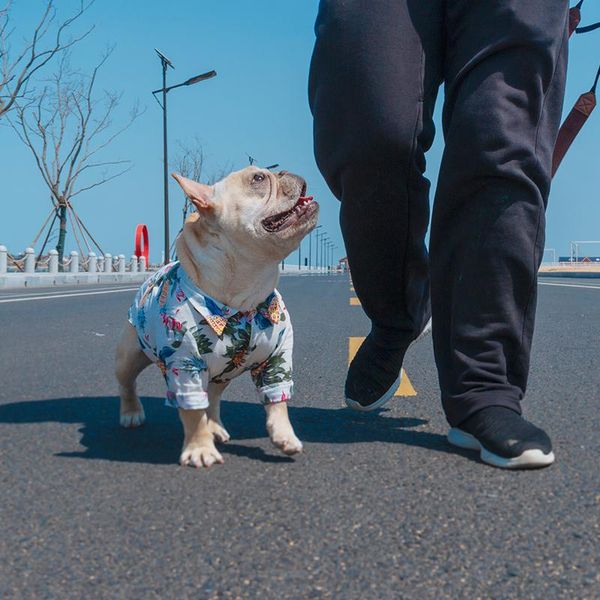 

dog apparel [mpk store ] hawaii shirt in 4 designs, cool looking clothes, summer 7 sizes available