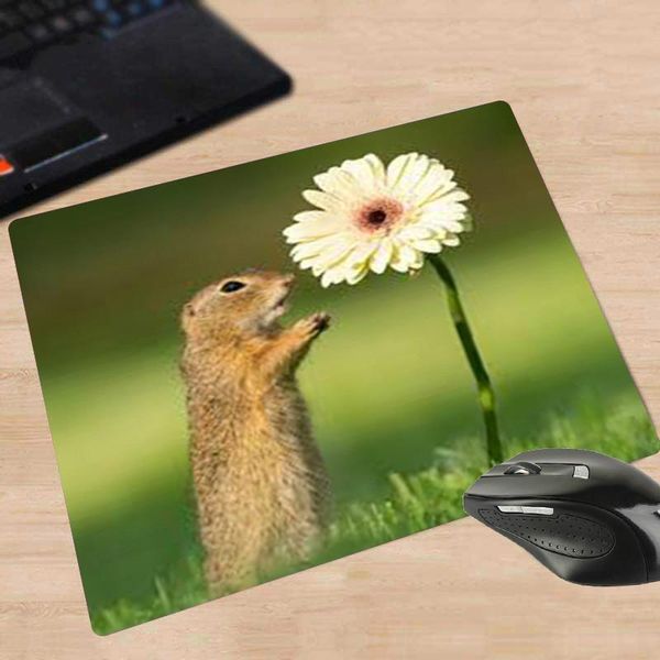 

mouse pads & wrist rests xgz small pad cute squirrel rubber anti slip animal pc notebook computer game desk mat