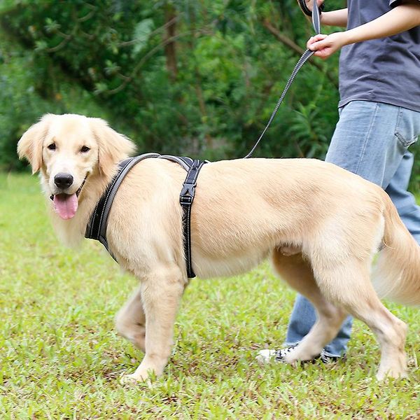 

dog collars & leashes jormel pet products for large harness glowing led collar puppy lead pets vest leads accessories chihuahua