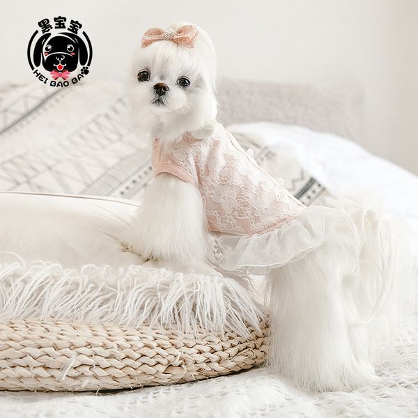

princs drs sishi little dog drs malte spring and summer thin teddy than bear