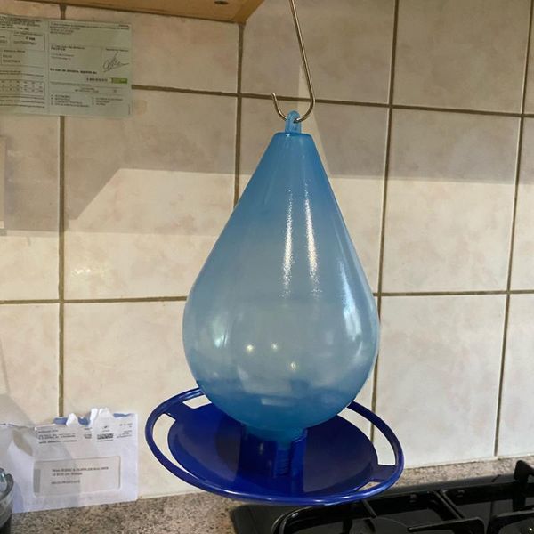 

other bird supplies 2021 iron hook pet water droplets hanging gazebo feeder automatic feeding food for garden decoration