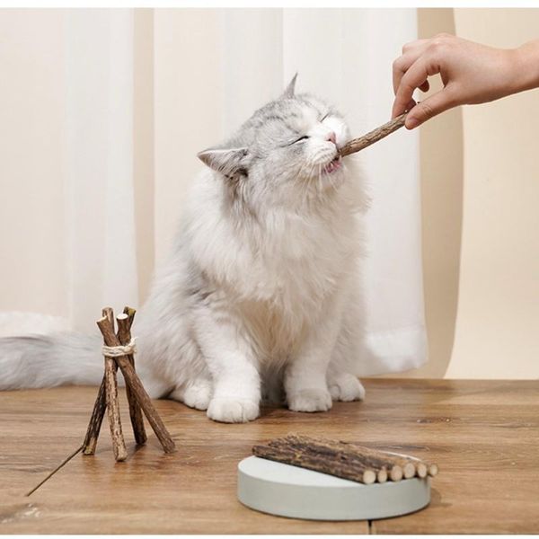 

cat beds & furniture kitten mint pet food keep healthy delicious molar bar clean teeth duck fish for