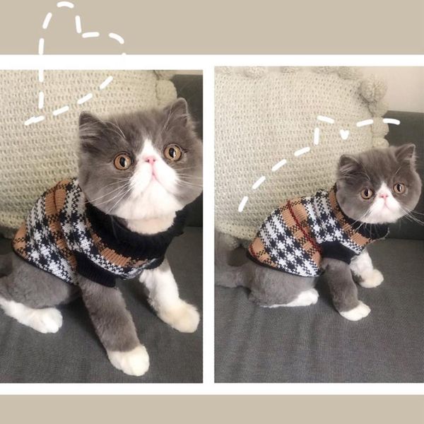 

cat costumes classic lattice sweater winter clothes