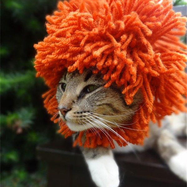 

cat costumes funny cute pet lion wig hat band red hair halloween christmas autumn and winter costume cosplay
