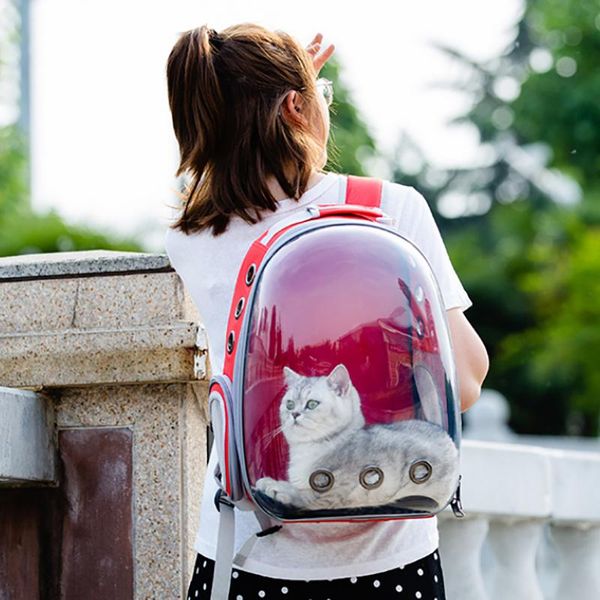 

cat carriers,crates & houses astronaut transparent backpack transportin gato backpacks pet carrier supplies travel puppy handbags