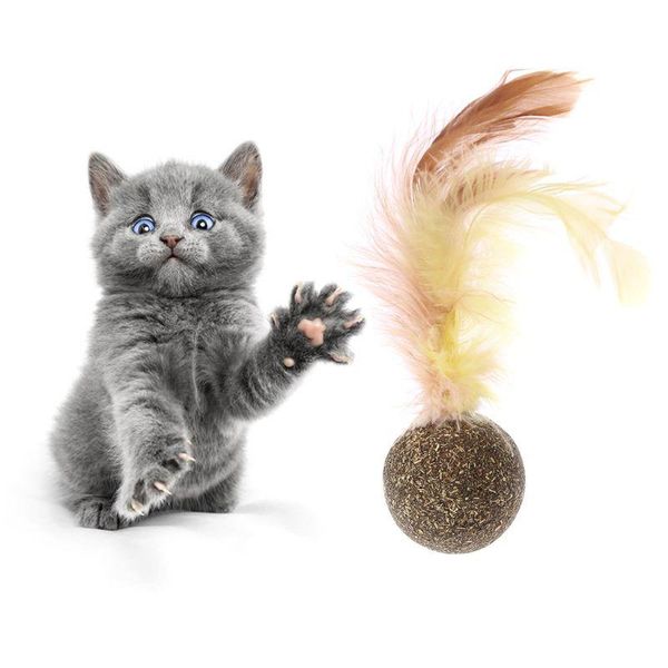 

cat toys j2fb nature kitten feature toy teeth cleaning catnip ball pet accessories