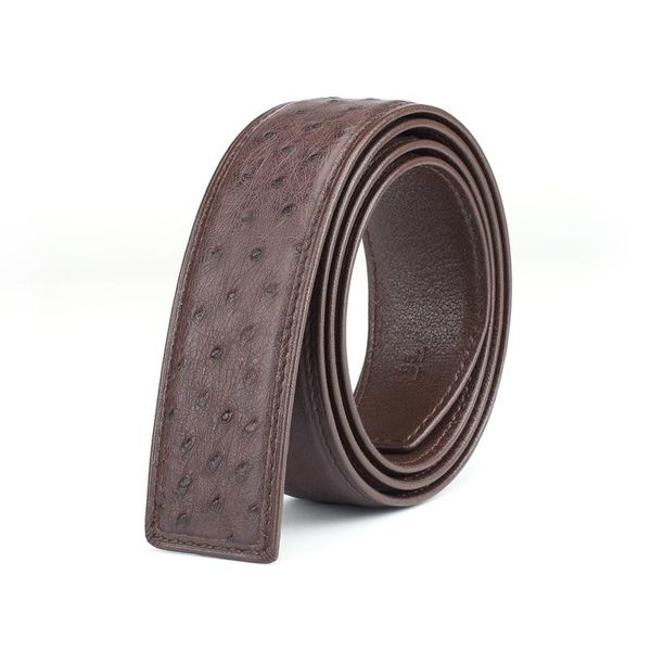 

belts genuine leather men casual ostrich belt high quality, Black;brown