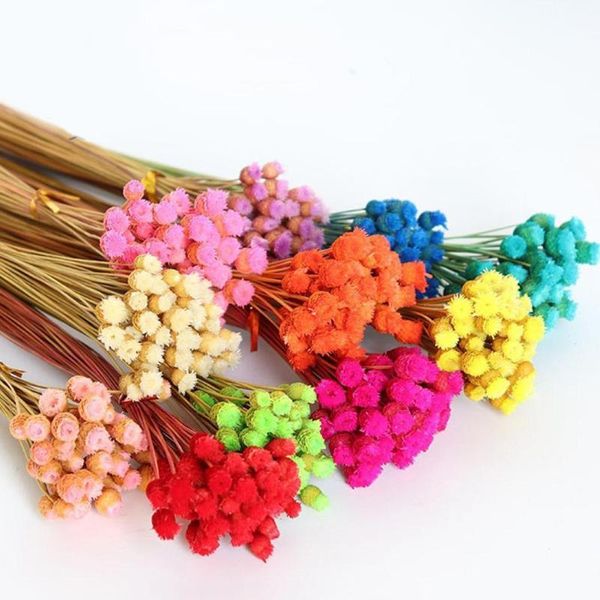 

decorative flowers & wreaths 50pcs brazilian happy flower dried wedding bouquet diy arrangement home party pography po backdrop decor