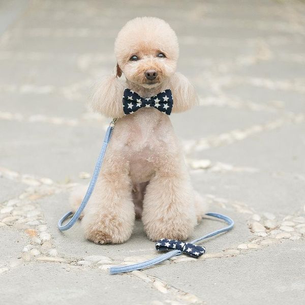 

dogs collars and harnesses cat dog pet leash with bow-knot collar lovely hauling cable leads traction belt suit & leashes